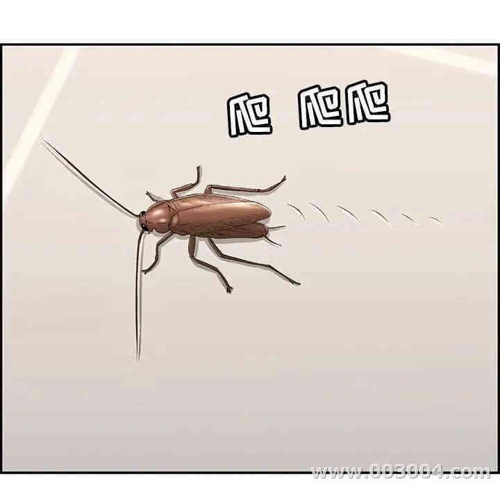 第95张