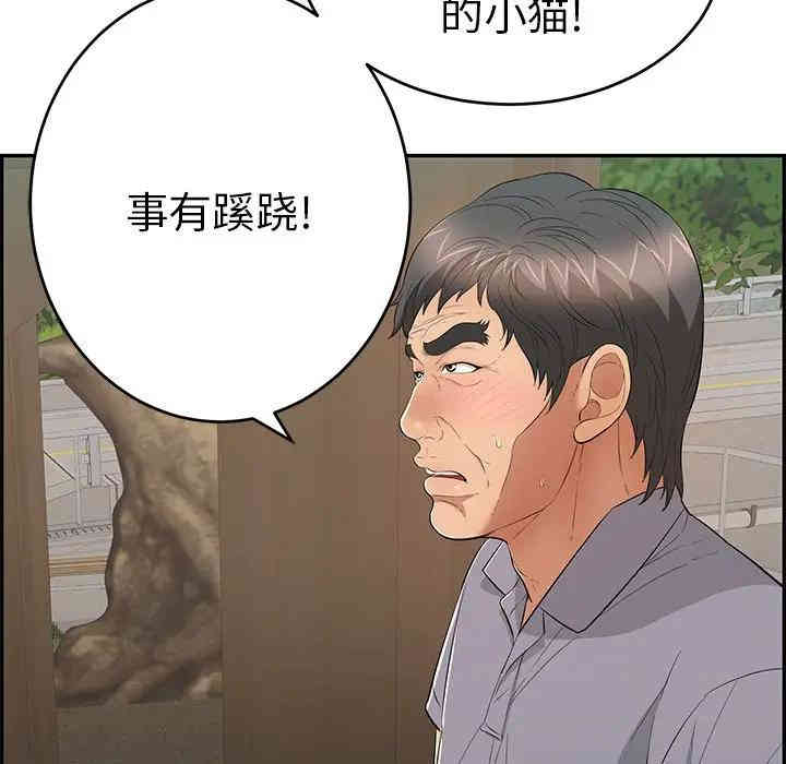 第81张