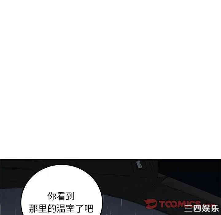 第33张