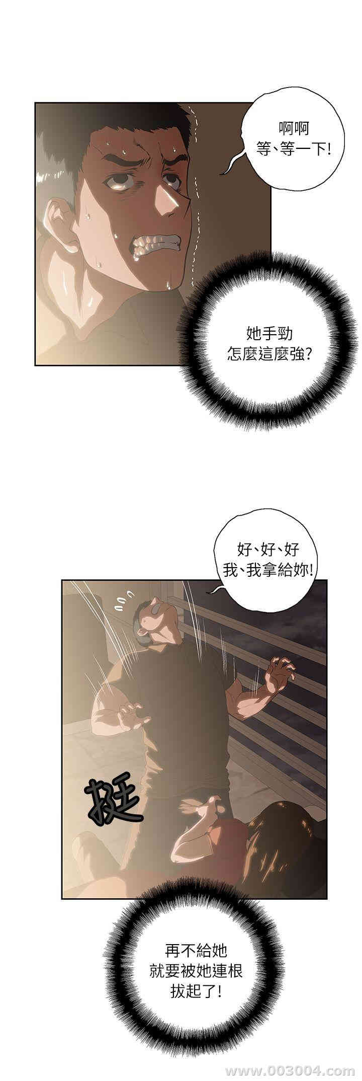 第11张
