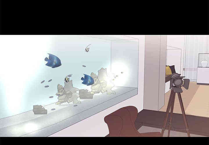 第5张