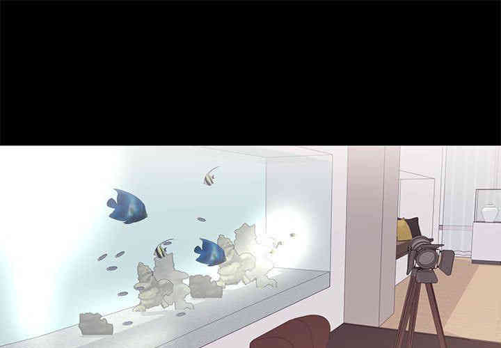 第1张