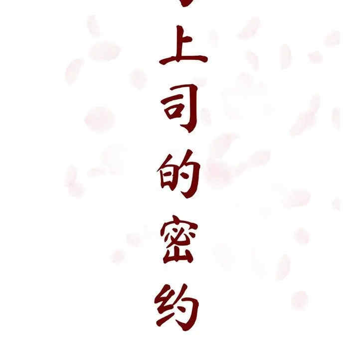 第113张