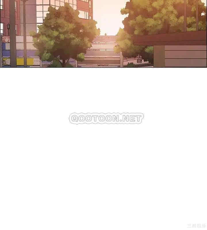 第41张