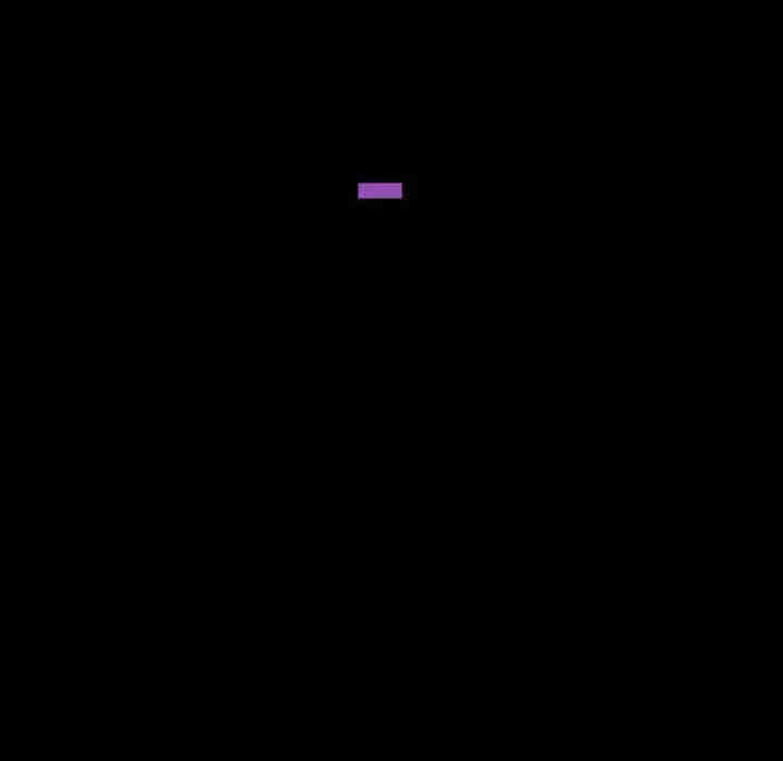 第52张
