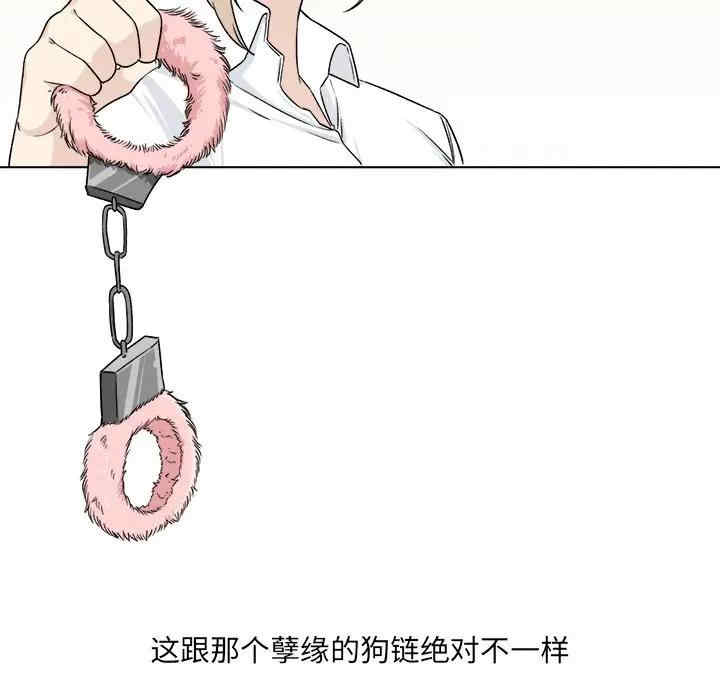 第55张