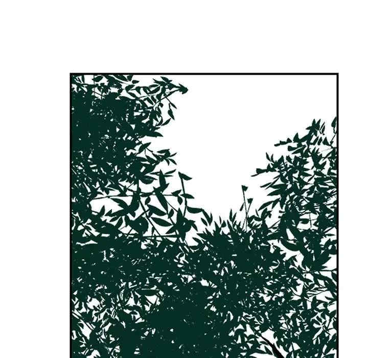 第17张