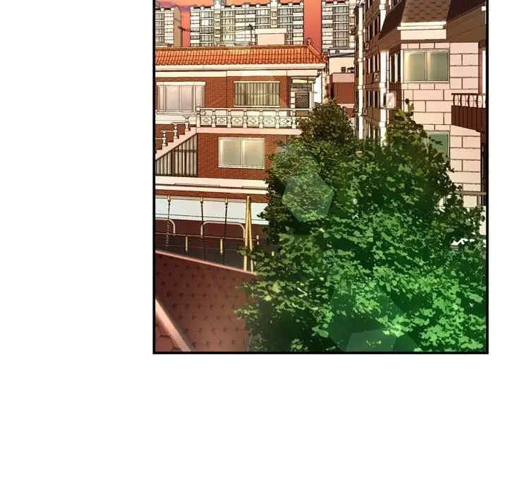 第16张