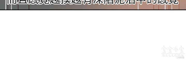 第4张
