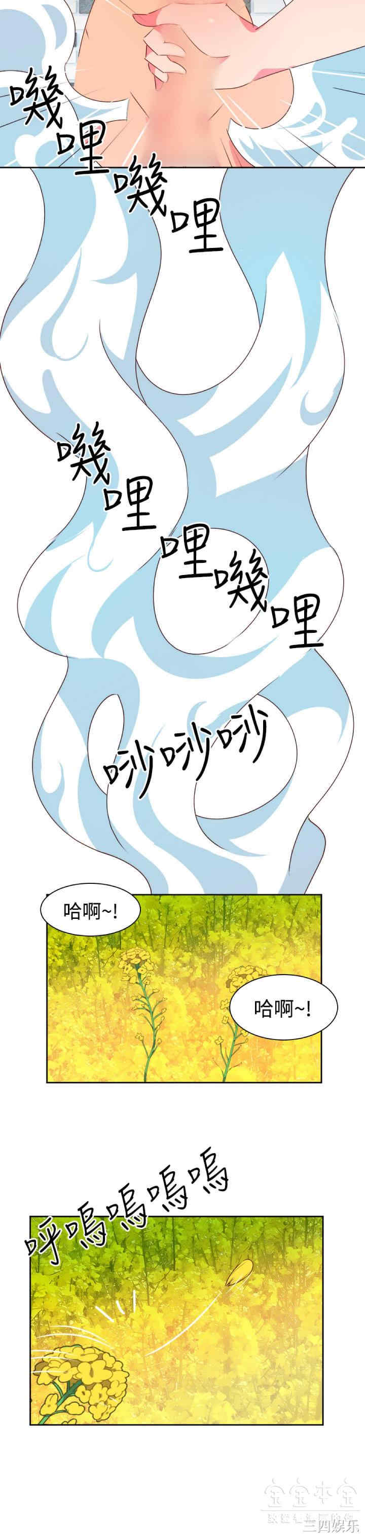 第3张