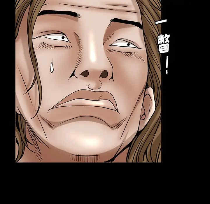 第117张