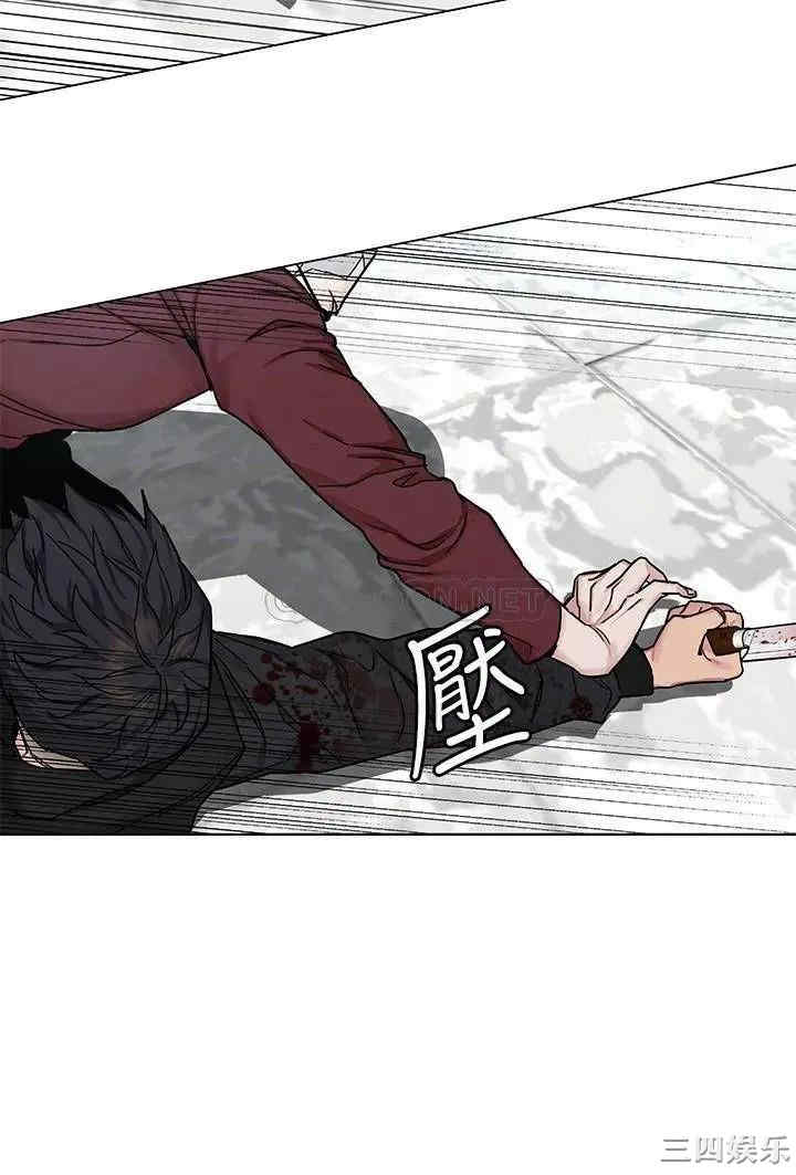 第8张