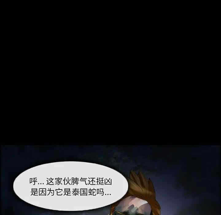 第29张