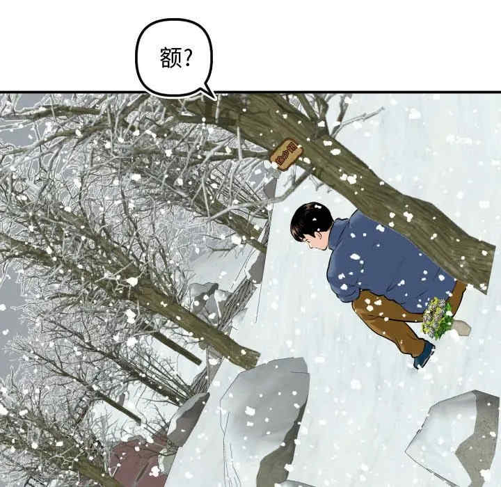 第135张