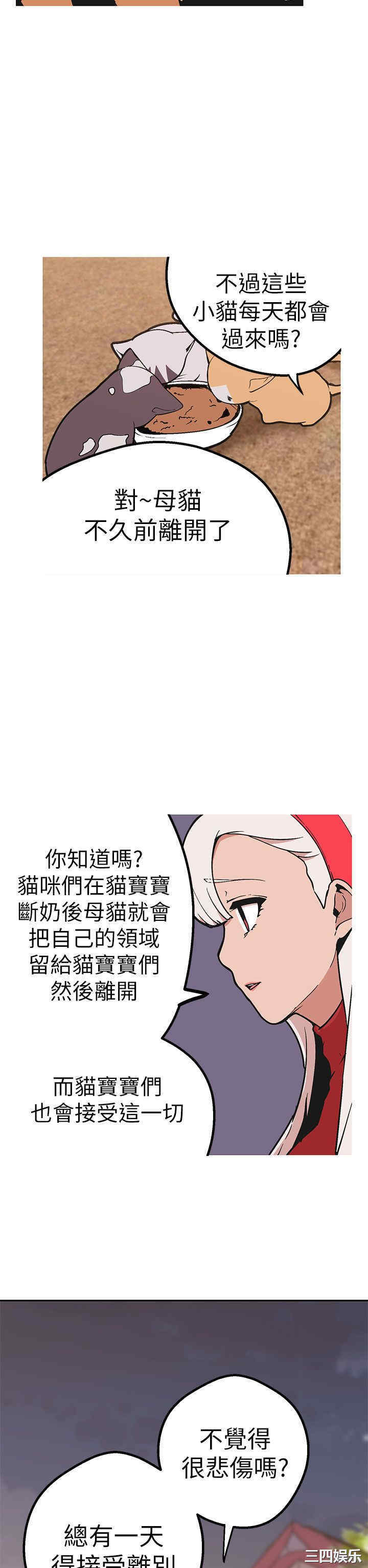 第4张