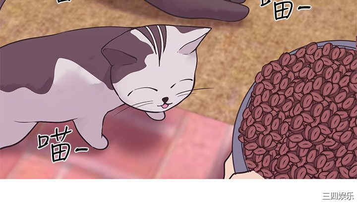 第3张
