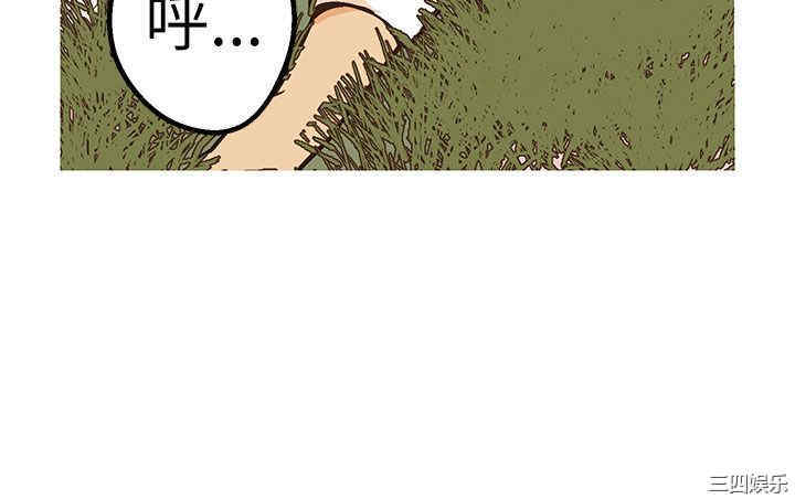 第33张