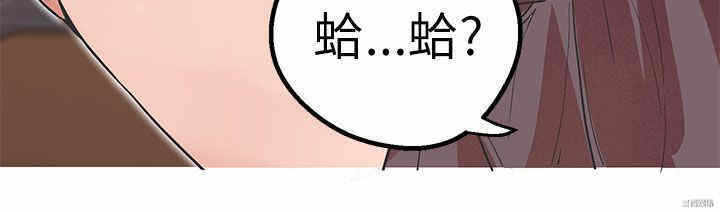 第3张
