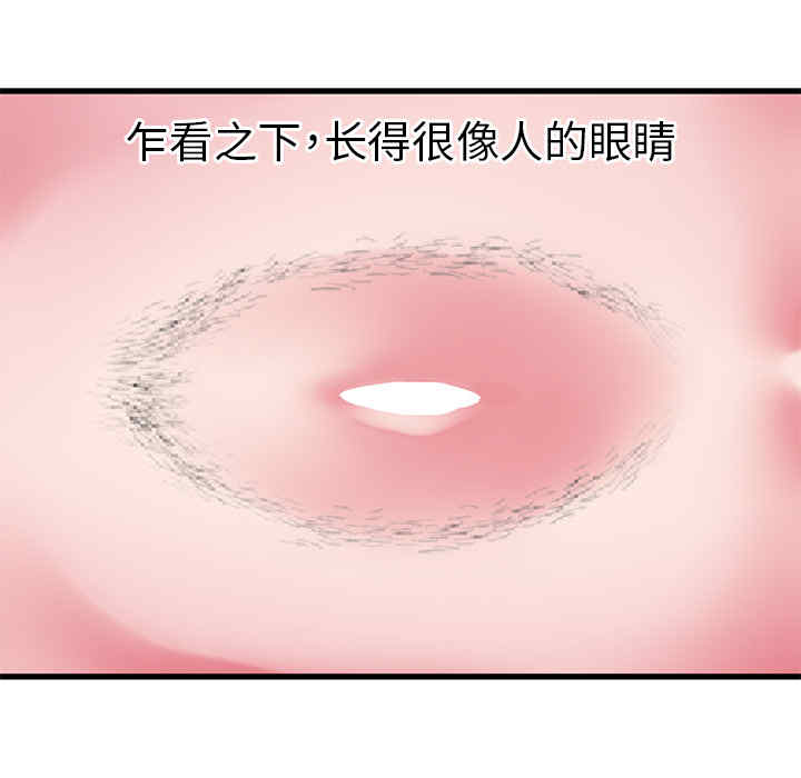 第15张