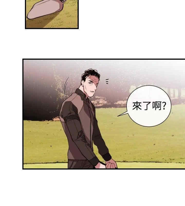 第24张