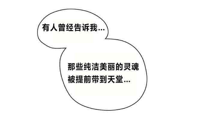 第1张