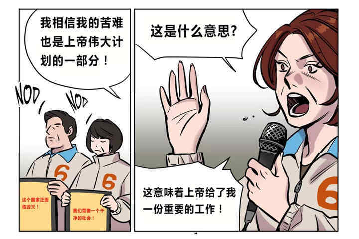第3张