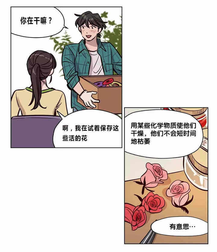 第44张