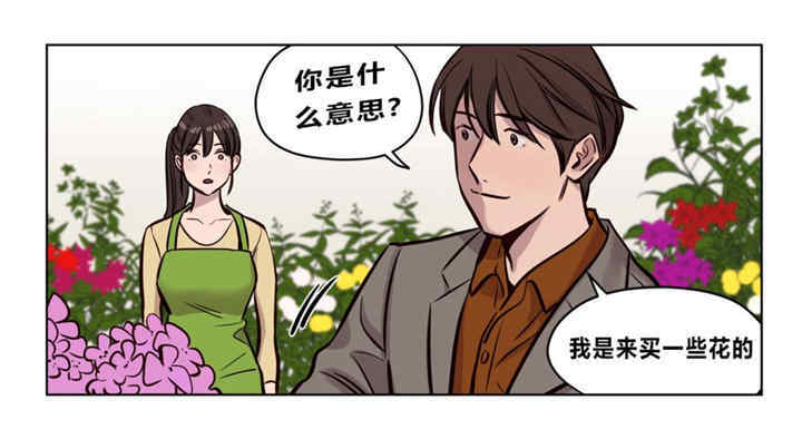 第51张