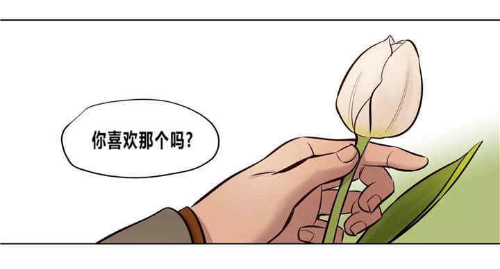 第53张