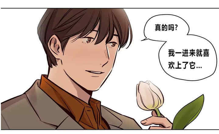 第55张