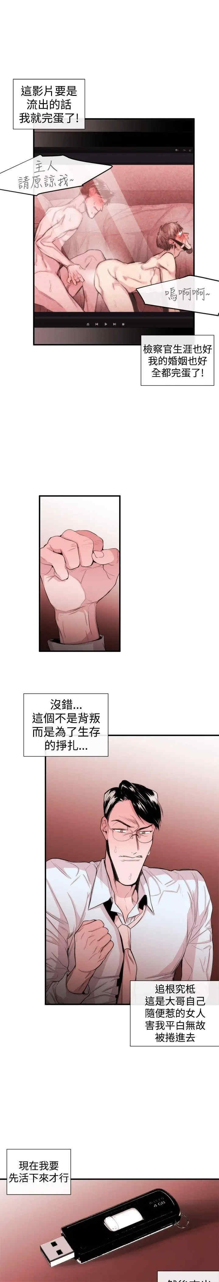 第17张