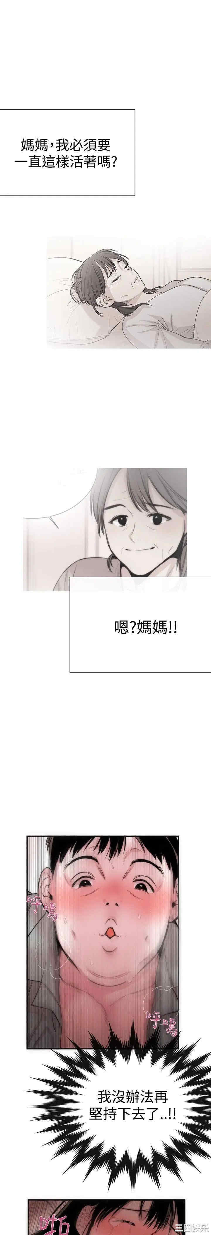 第21张