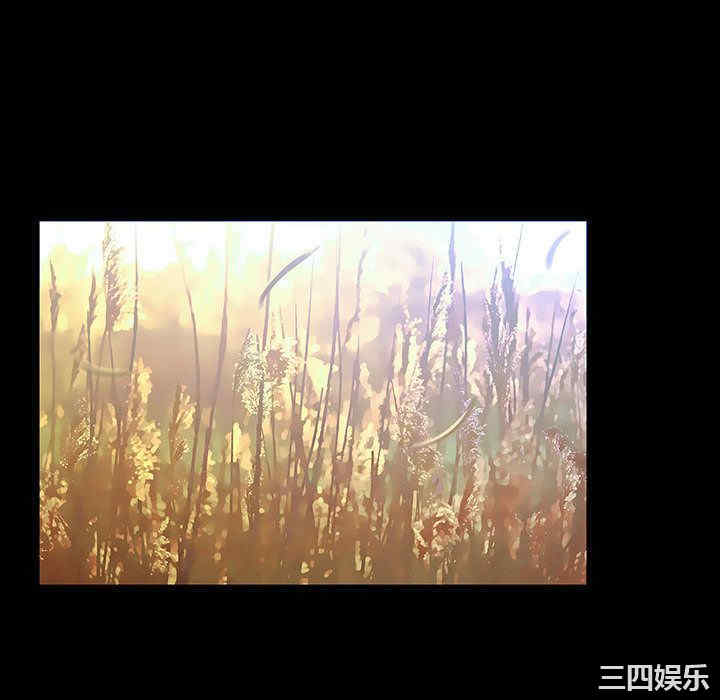 第136张