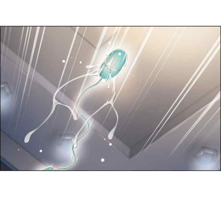第42张