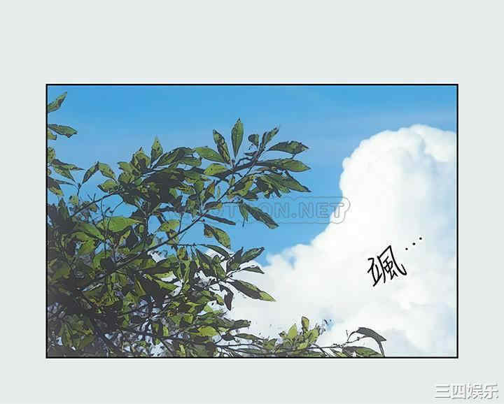 第25张