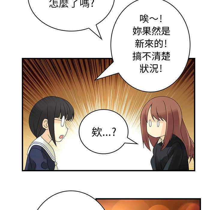 第48张