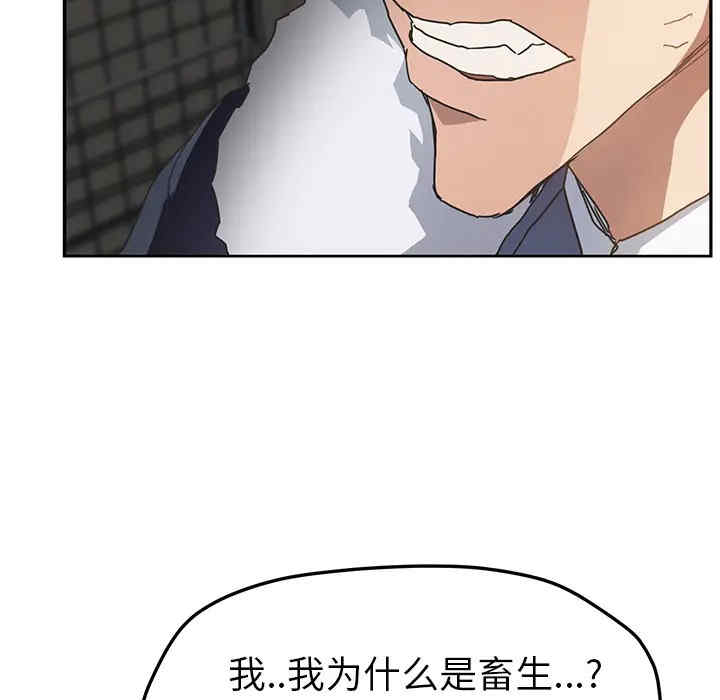 第66张