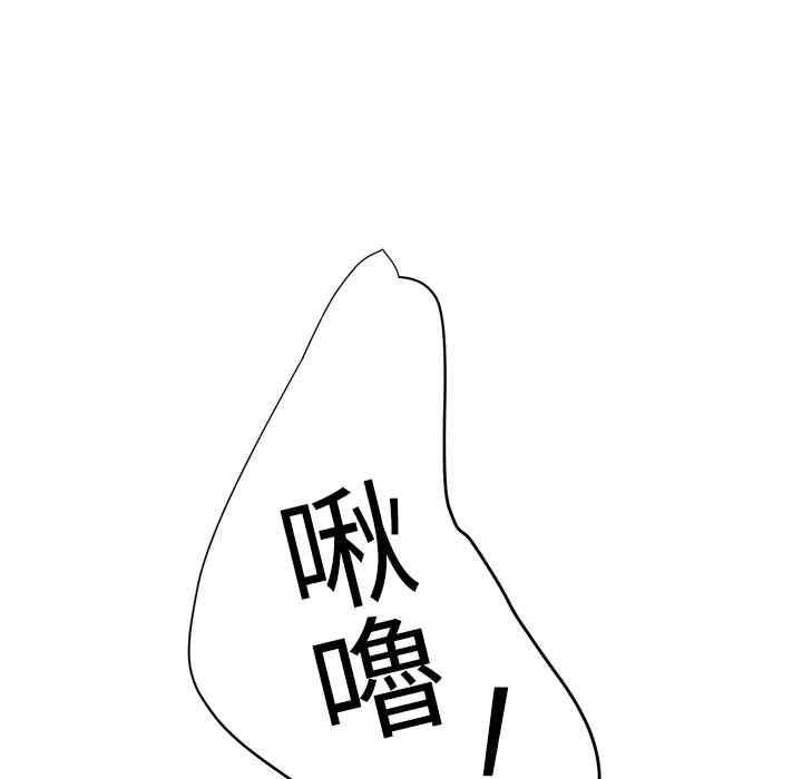 第41张