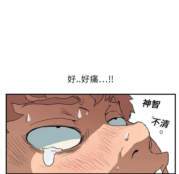第62张