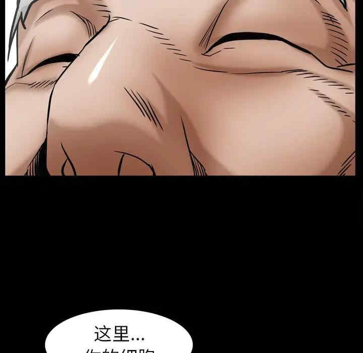 第142张