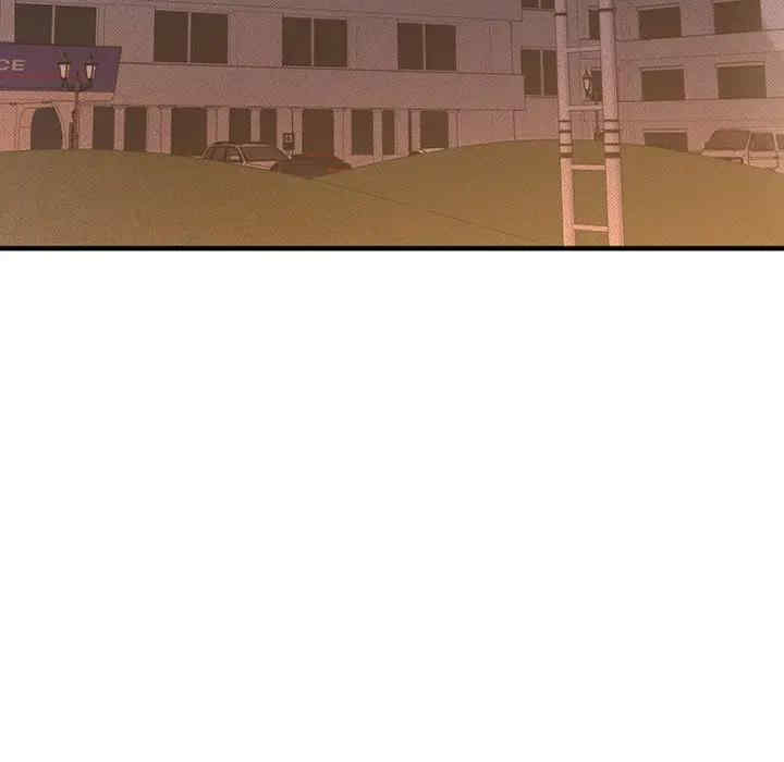 第81张