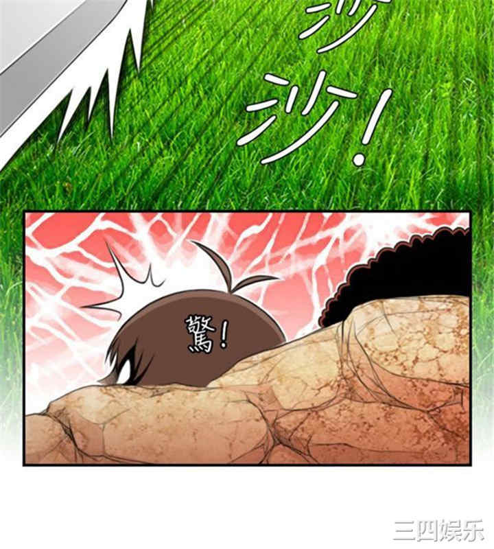 第14张