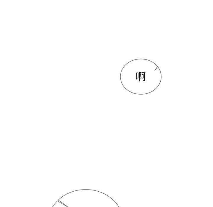 第41张