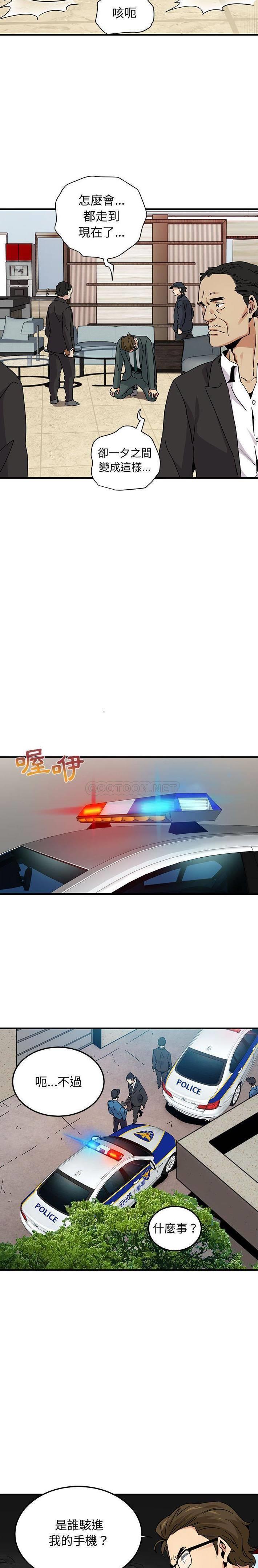 第11张