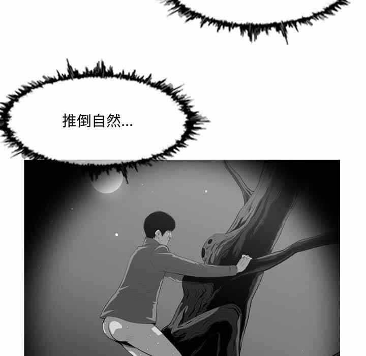 第49张