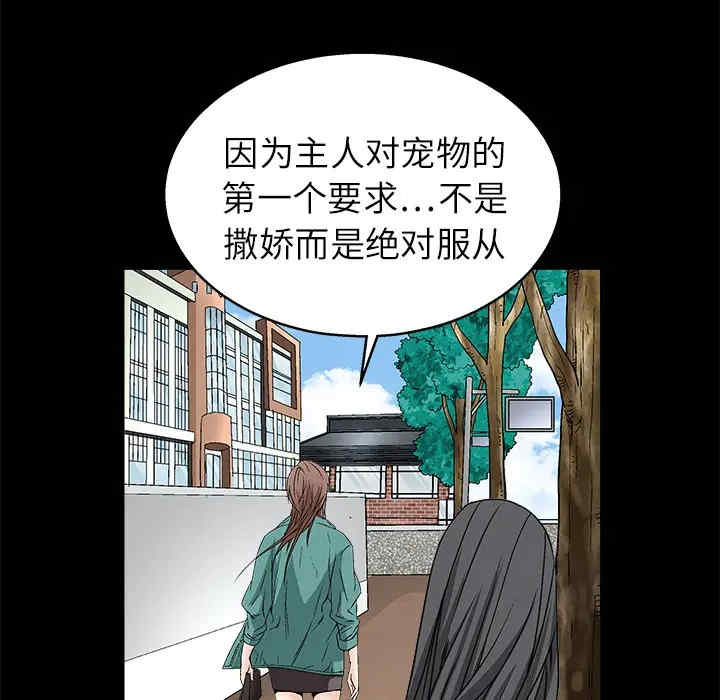 第55张