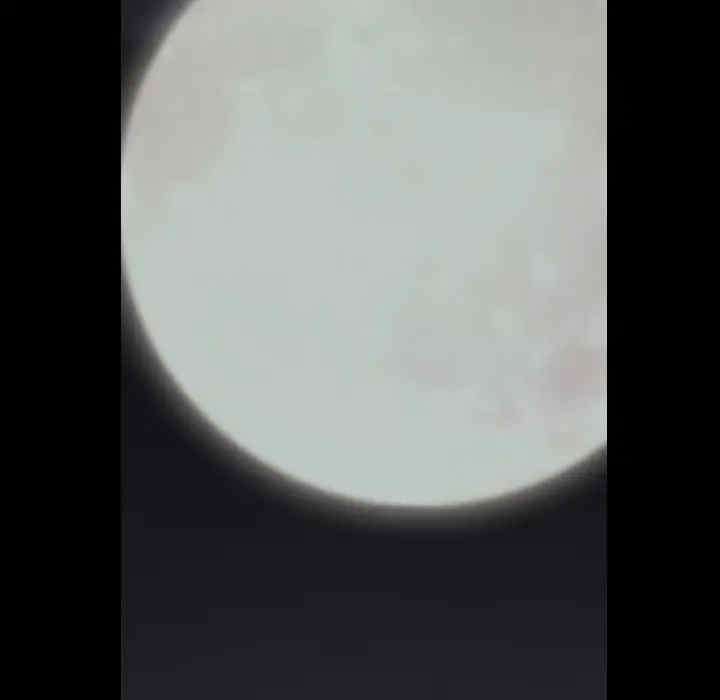第48张