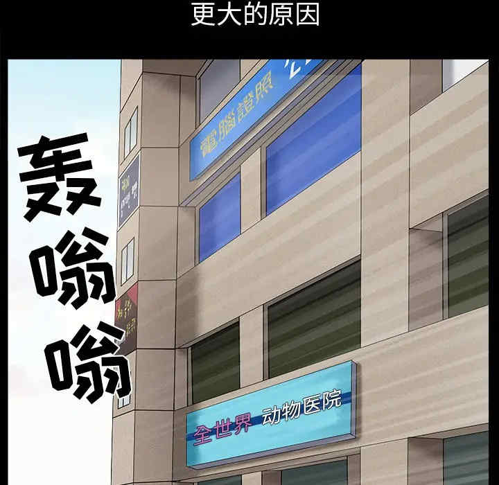 第17张