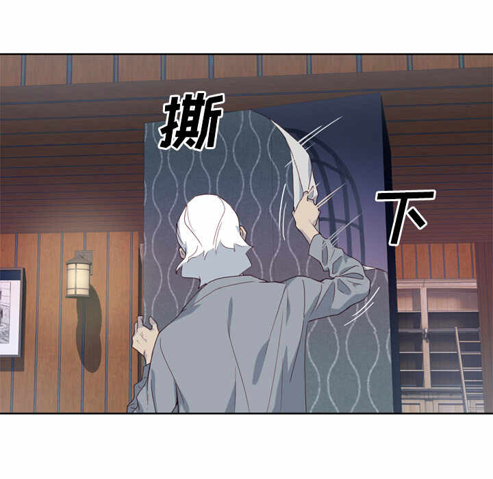 第47张