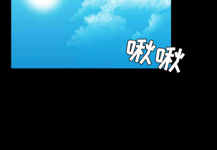 第5张